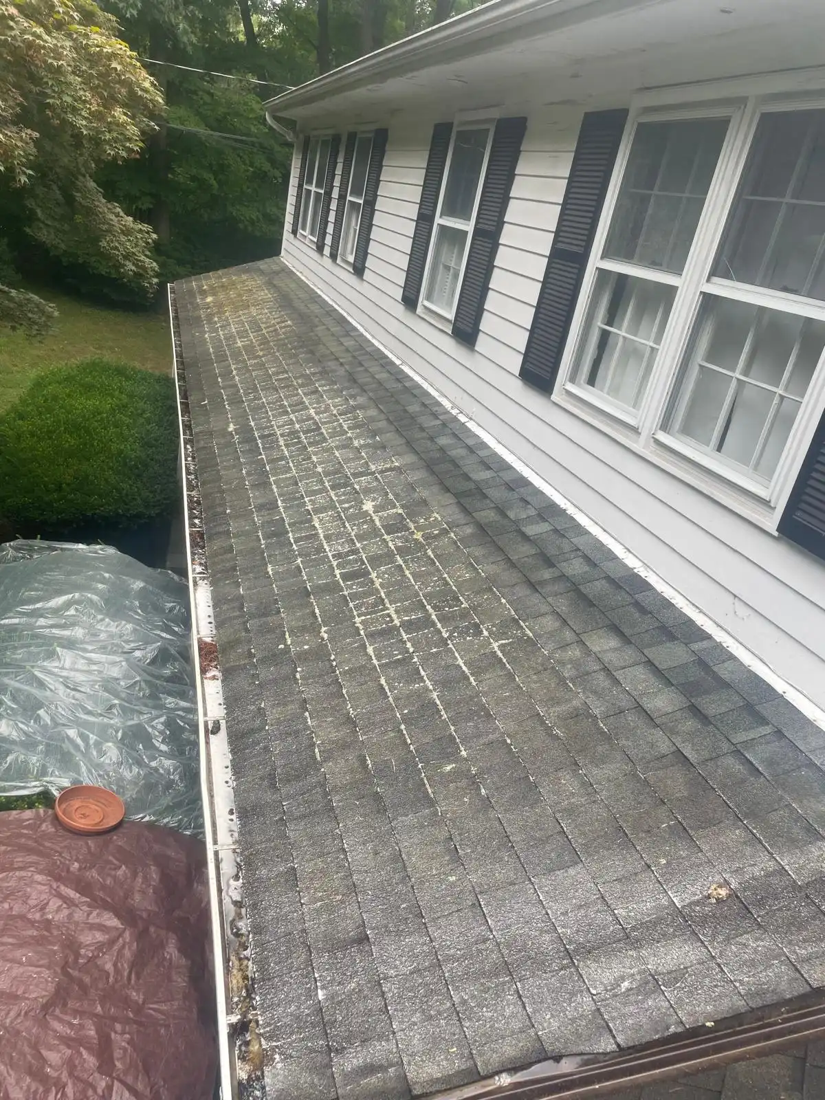 Power Washing #6